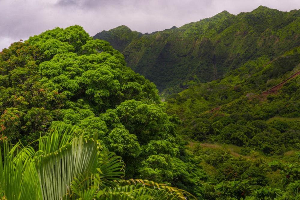 Hale Ho'O Maha Bed And Breakfast Hanalei Exterior photo